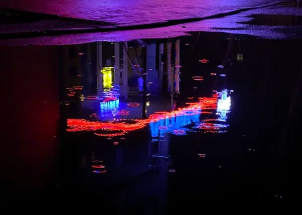 Neon ışıklar içinde çılgın gece yüzmesi