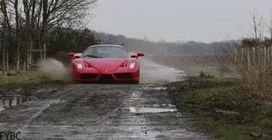 Milyonlarca Dolar Mirası Bırakılan Sevgilisinden Vazgeçmek ve Hala Ferrari Hayali Kurmak