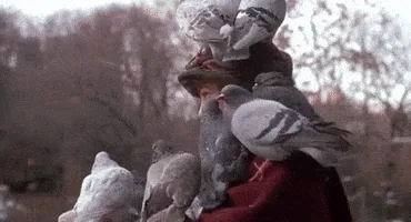 Bir yıl boyunca yalnızca görünmeyen harcamalar yapmak