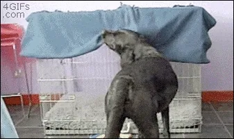 “Cereyanda Kalma” Uyarısı Günde En Az Bir Kez Yapılır
