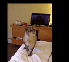 Hapşırık Geliyor Ama Çıkmıyorsa Parlak Işık Bazı İnsanlarda Tetikleyebilir