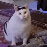 İki Anne Çocuklarının İlişkisini Bitirmek İçin Gizlice Plan Yapıyordu