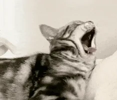 Kulakların Basınçtan Tıkandıysa Esnemeyi veya Yutkunmayı Dene