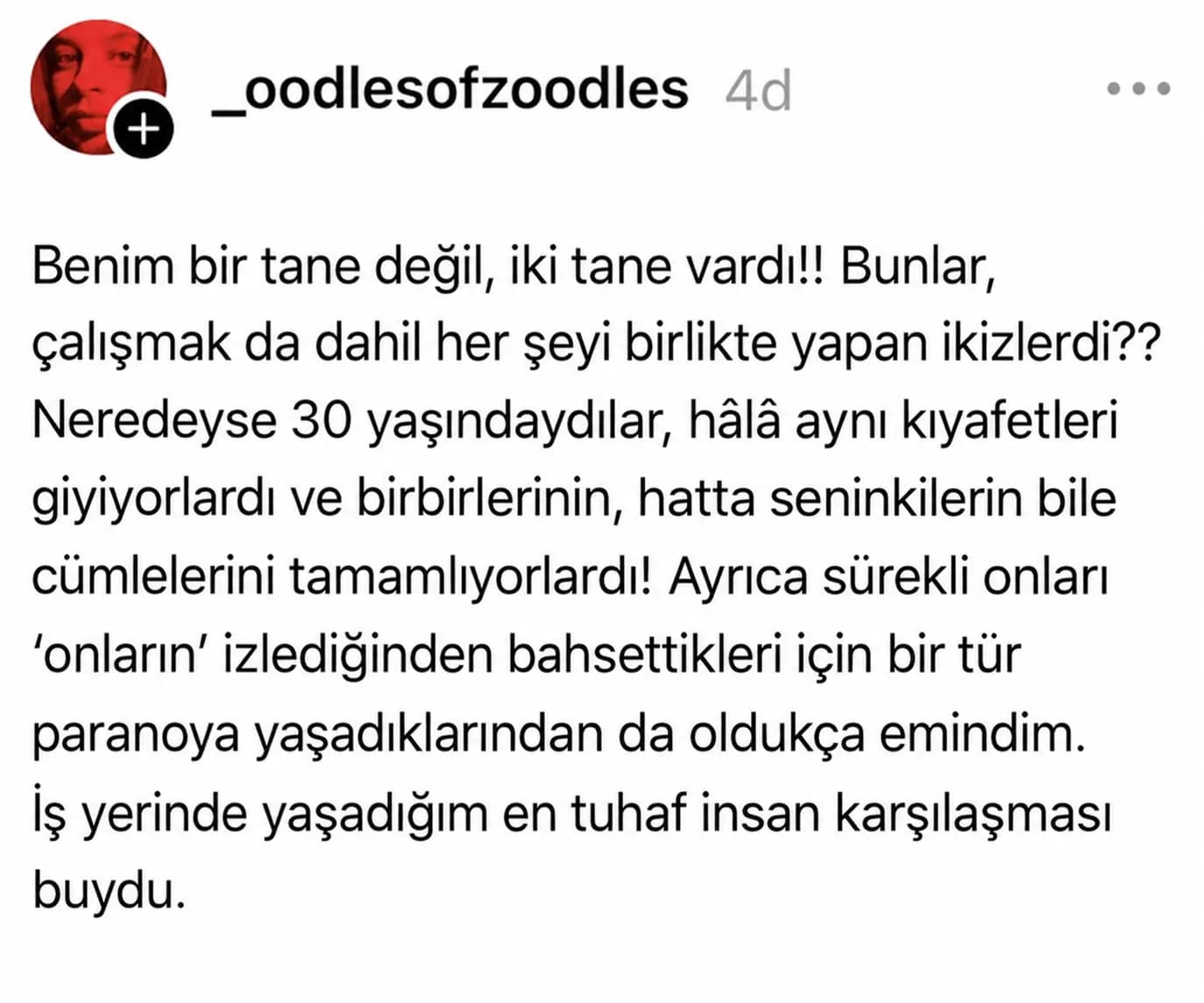 Her şeyi birlikte yapan aşırı tuhaf ikizler