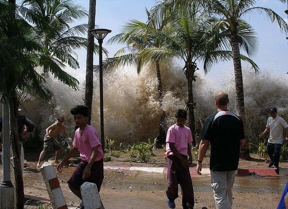 2004 Tsunamisi Geldiğinde İnsanların Kaçmak İçin Neredeyse Hiç Zamanı Yoktu