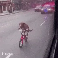 Önce Yemeğe Gitmek Zorunda Değil, Seks Önce Olabilir