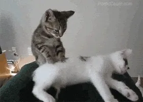 Rahatlatıcı Bir Masaj veya Baş Kaşıma