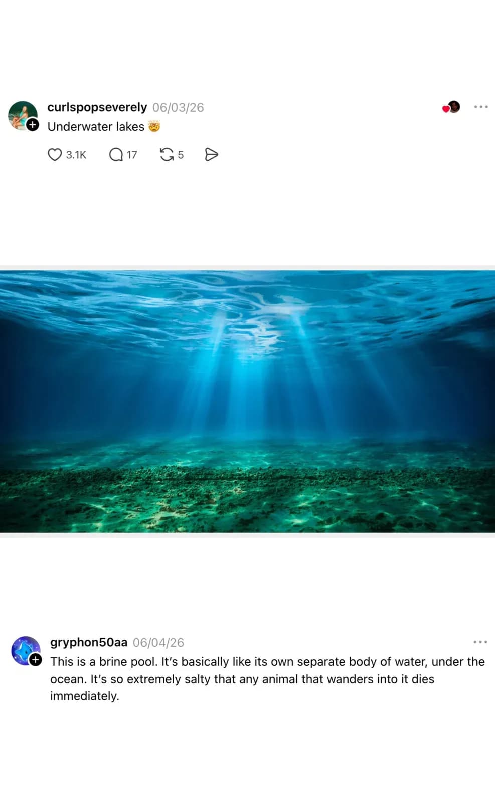 Tuzlulukları deniz suyunun 3-8 katı olan ölümcül tuzlu su gölleri vardır