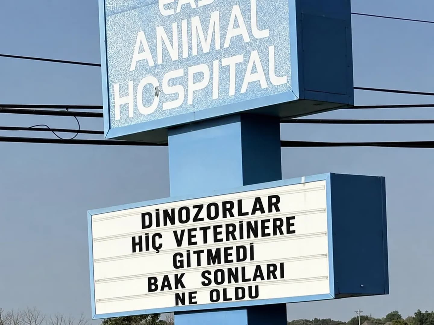 Veterinerin Dinozorlarla İkna Taktikleri